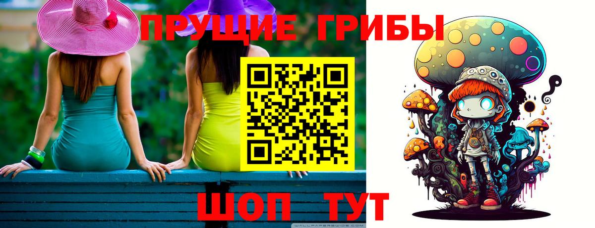 Псилоцибиновые грибы Psilocybine cubensis Бор