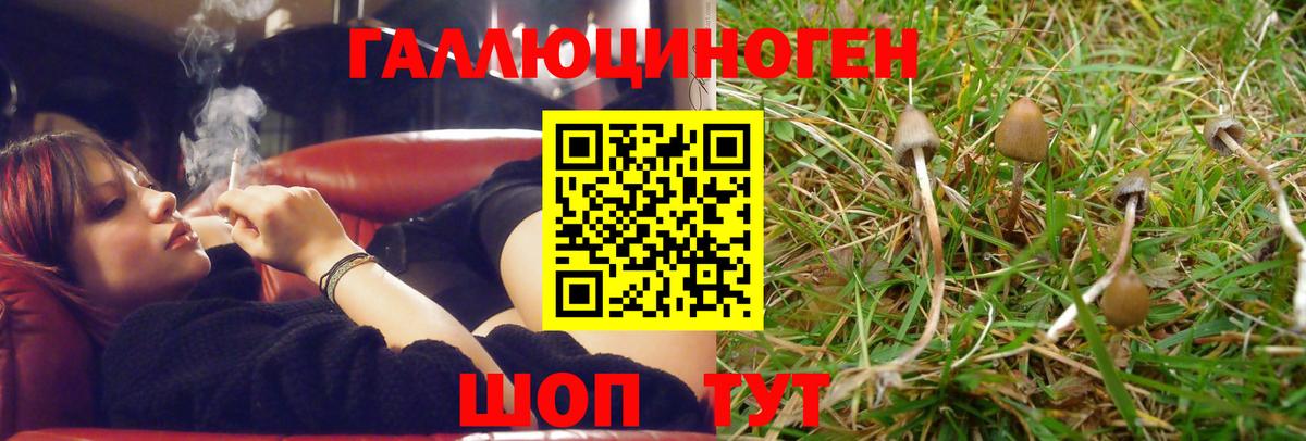 Бор  Галлюциногенные грибы Magic Shrooms  Вход с VPN 